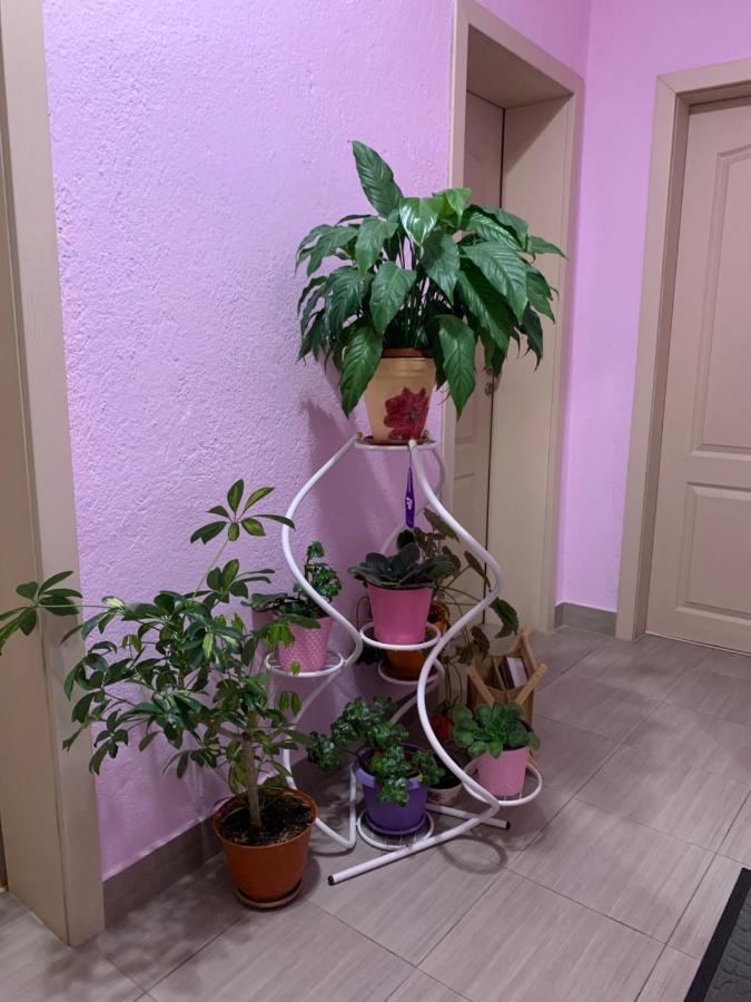 Къща За Гости Стойнови 帕维尔巴尼亚 外观 照片